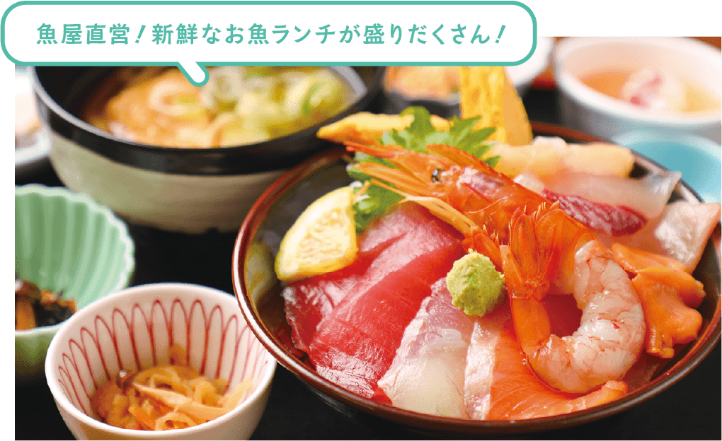 魚屋直営！新鮮なお魚ランチが盛りだくさん！