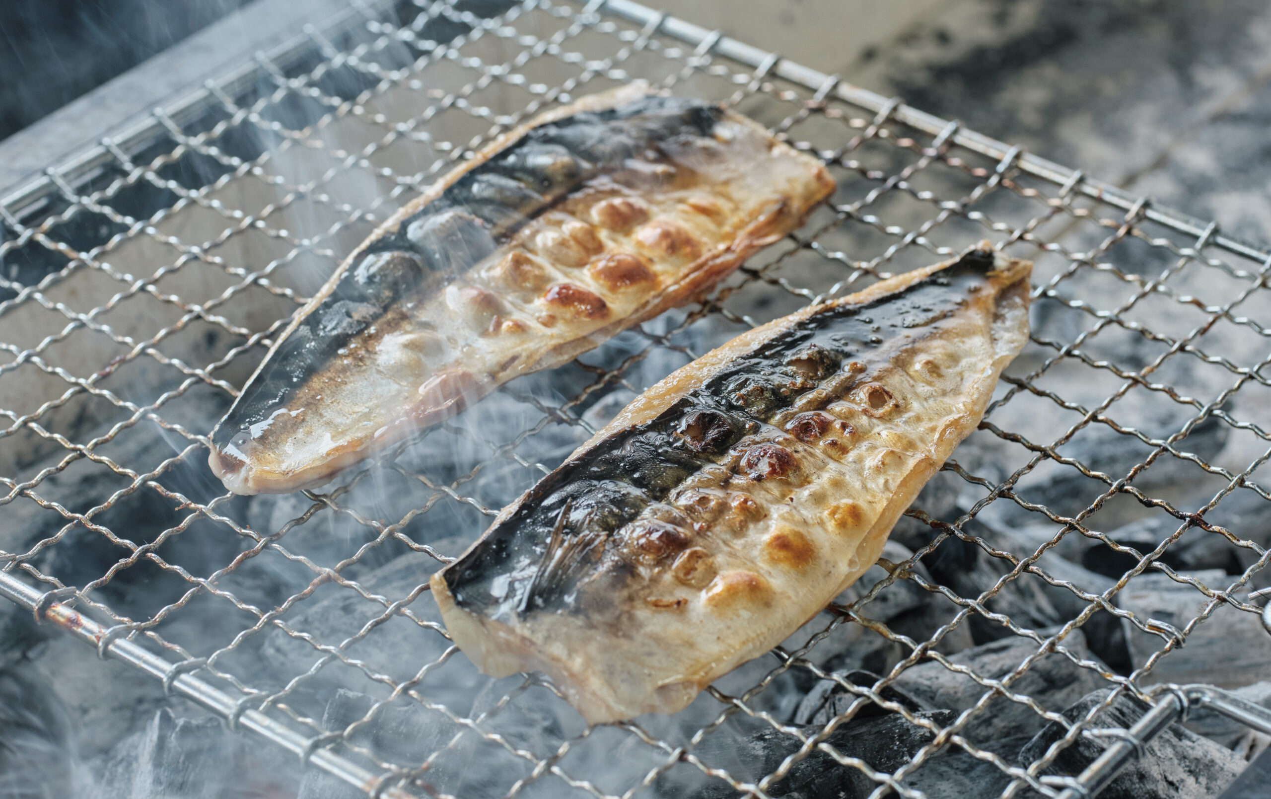 トロさば