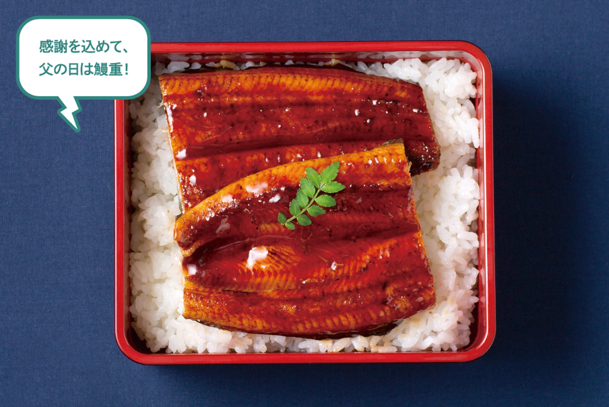 感謝を込めて、父の日は鰻重！ボリューム満点の鰻重！