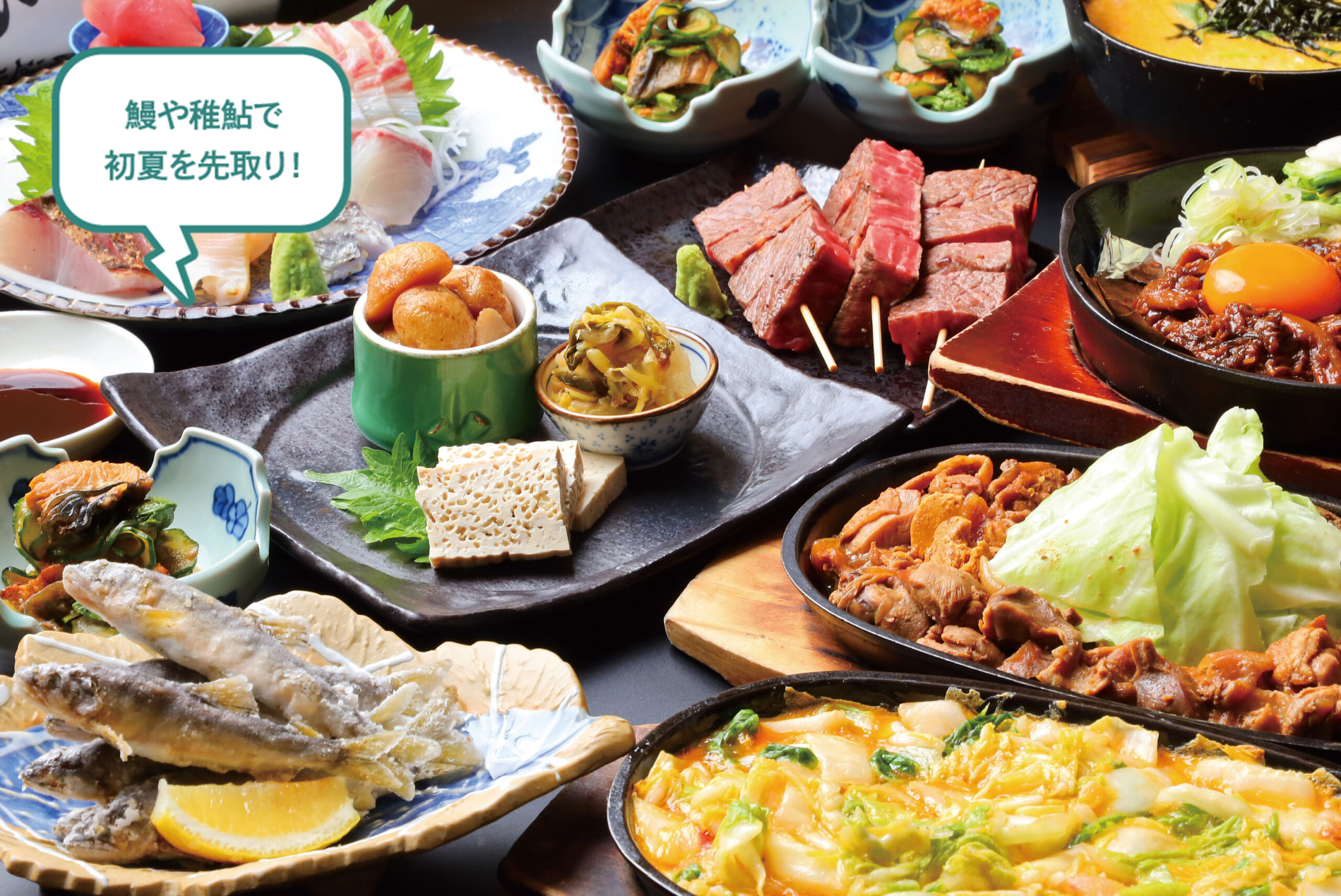 鰻や稚鮎で初夏を先取り！2時間飲み放題込、飛騨プラン税込5,000円全9品のイメージ。 