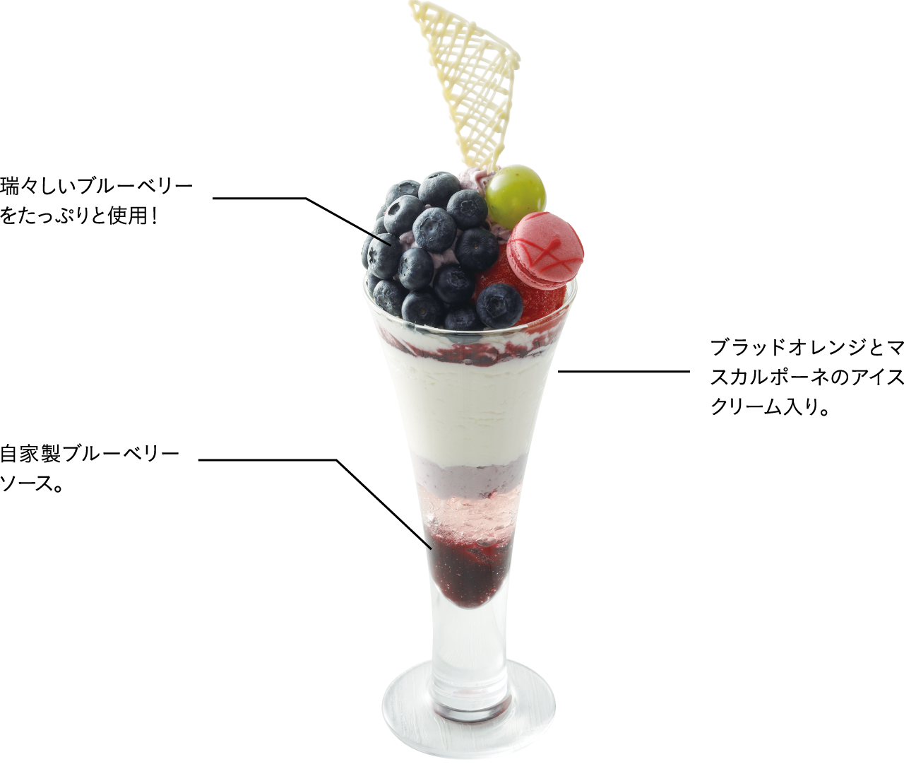 瑞々しいブルーベリーをたっぷりと使用！ブラッドオレンジとマスカルポーネのアイスクリーム入り。自家製ブルーベリーソース。
