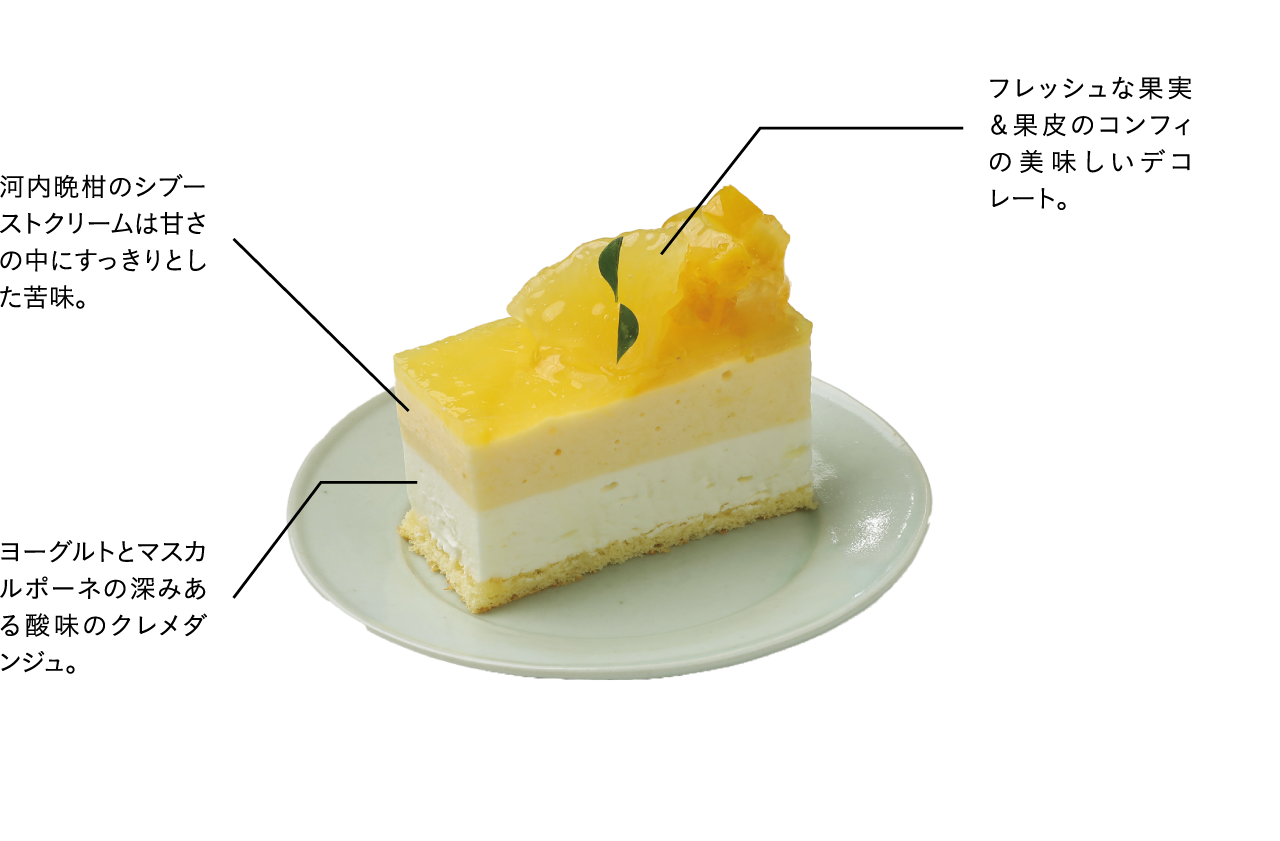 フレッシュな果実＆果皮のコンフィの美味しいデコレート。河内晩柑のシブーストクリームは甘さの中にすっきりとした苦味。ヨーグルトとマスカルポーネの深みある酸味のクレメダンジュ。