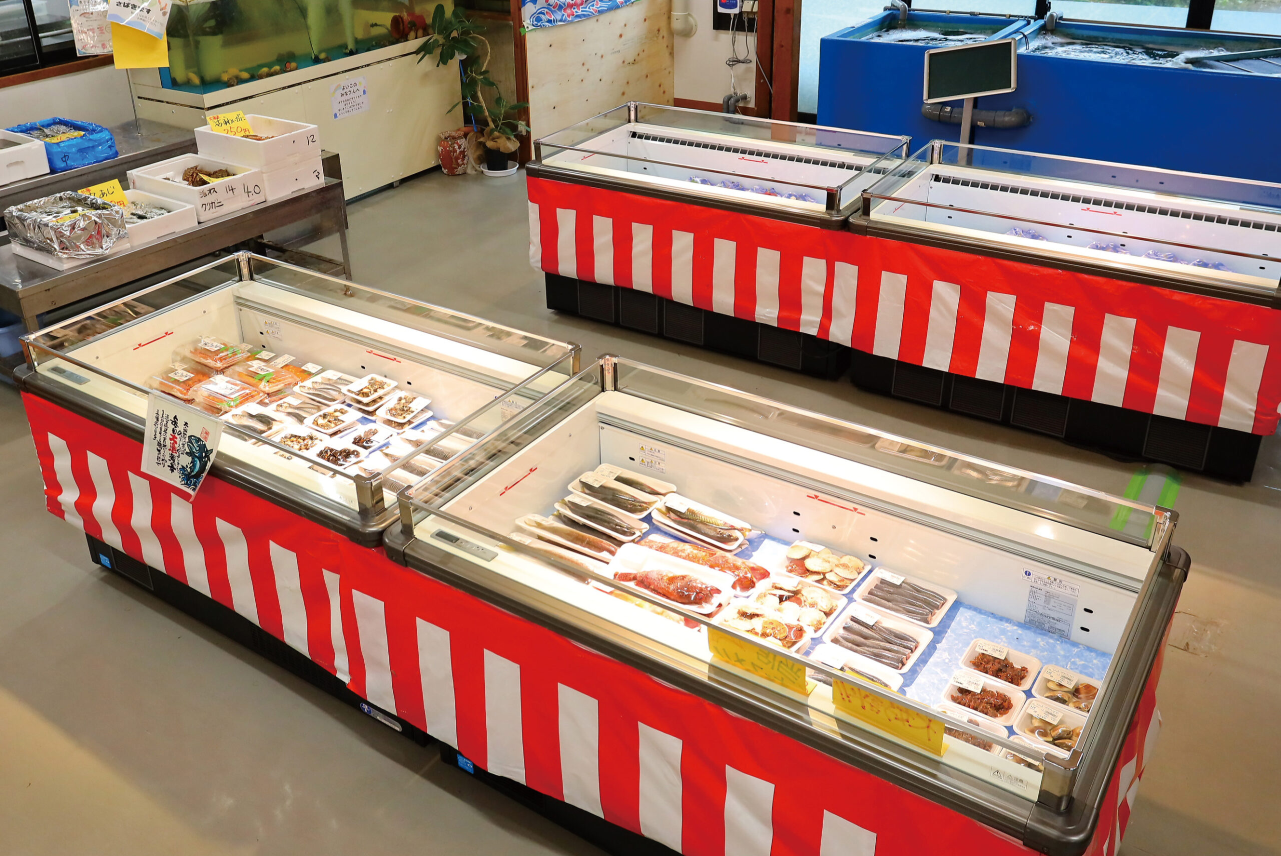 新鮮な魚介が並ぶショーケース