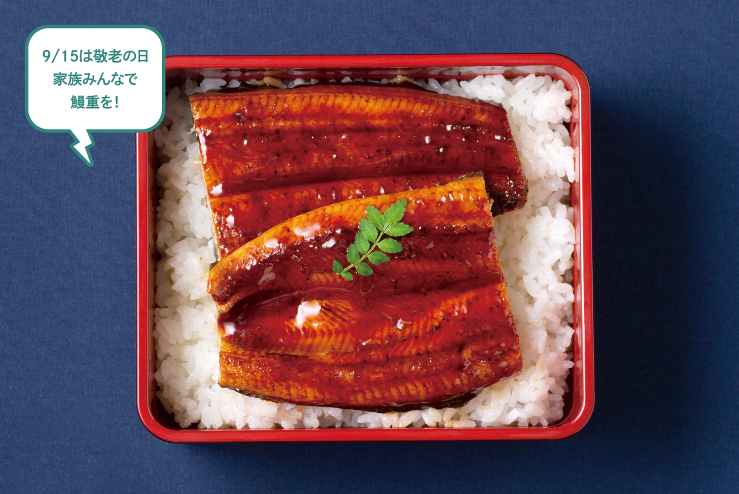 9/15は敬老の日 家族みんなで鰻重を！ボリューム満点の鰻重