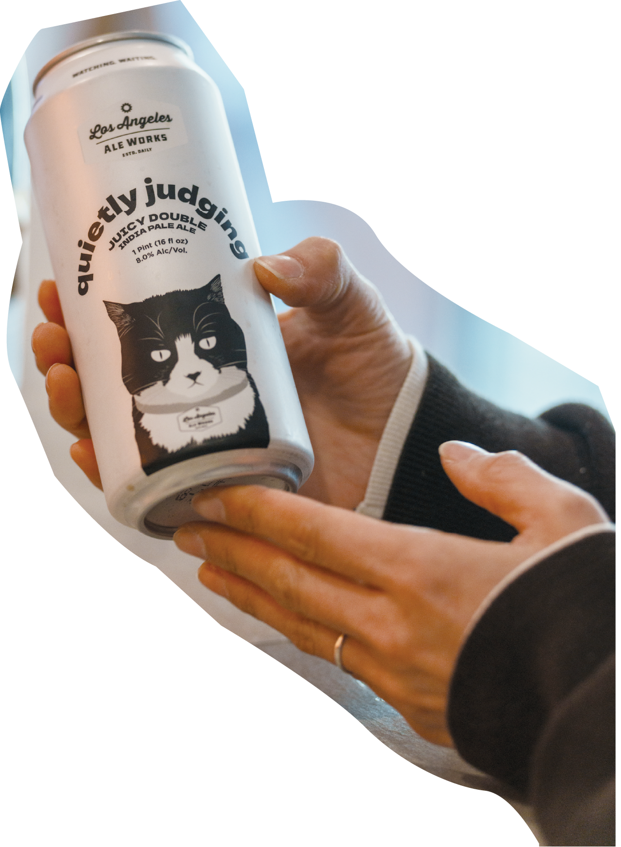 ビールボトルの写真