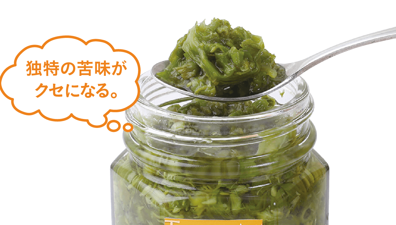 ご飯のおとも ふきのとう