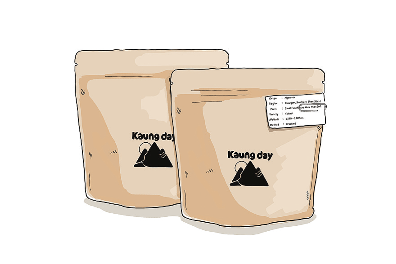 スペシャルティコーヒー豆のイラスト