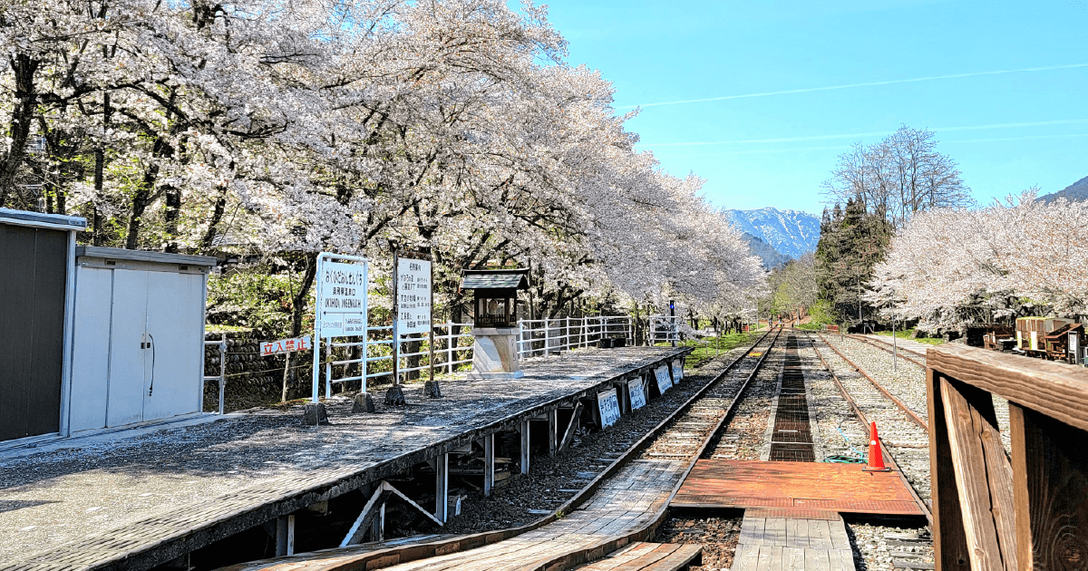 Rail-MTB Gattan GO!!レールマウンテンバイク ガッタンゴーを詳しくみる