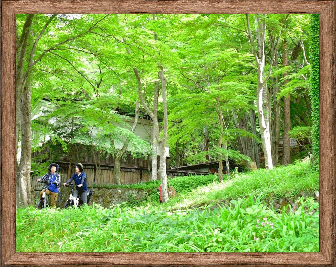 Flying Peaks　飛騨高山　サイクリング　自然に囲まれた歴史ある建物