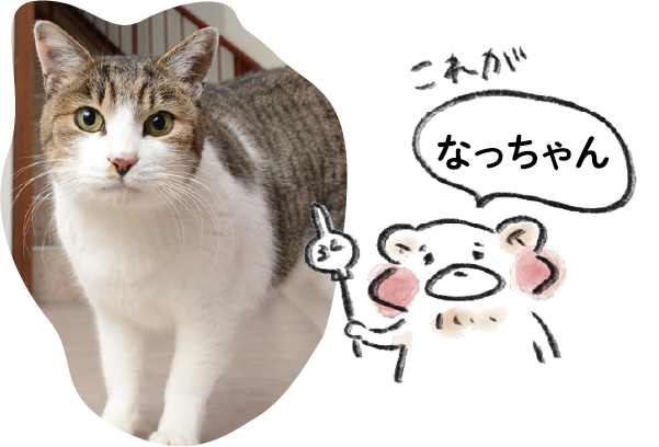 クマ夫のイラスト