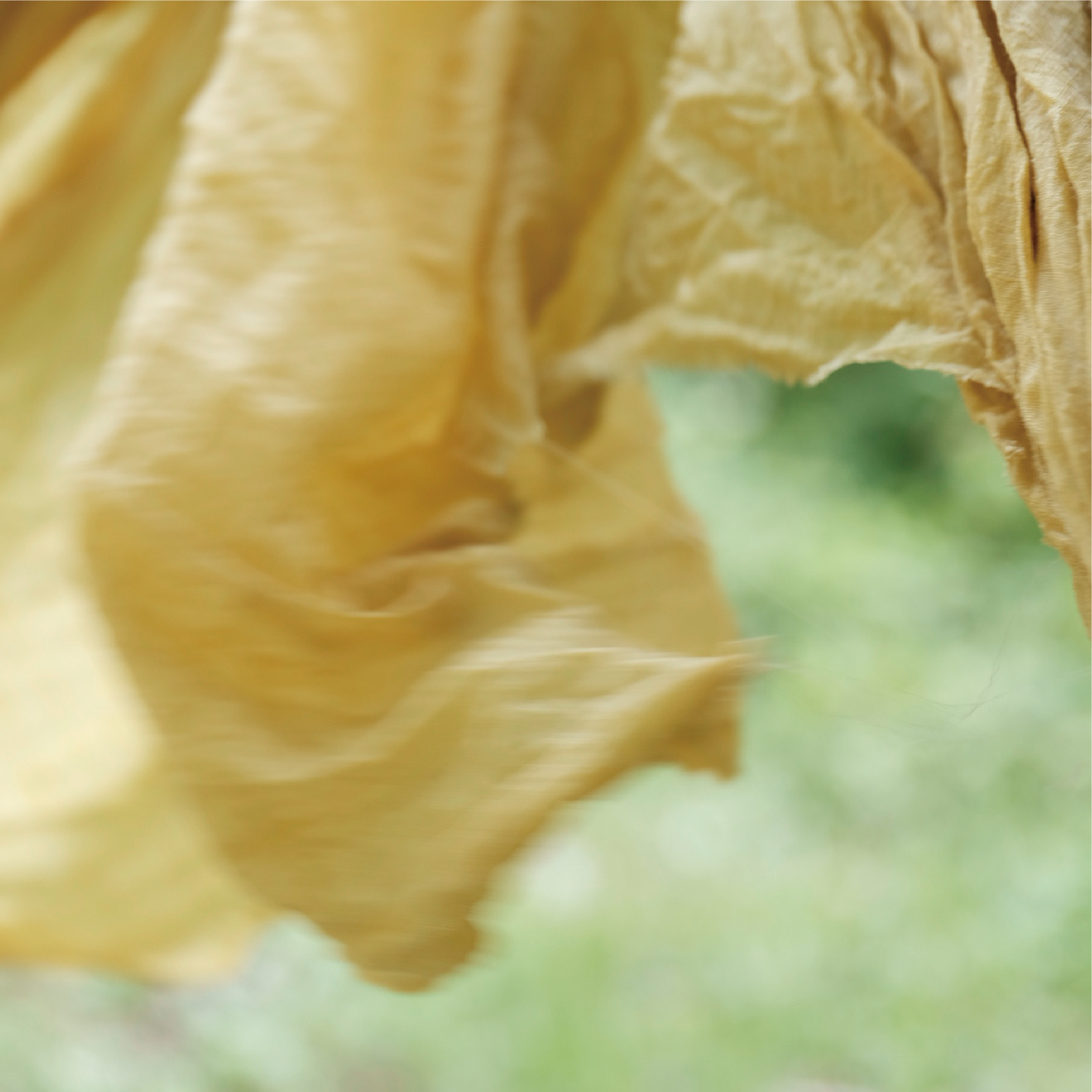 レコーズするもの。布の記憶。