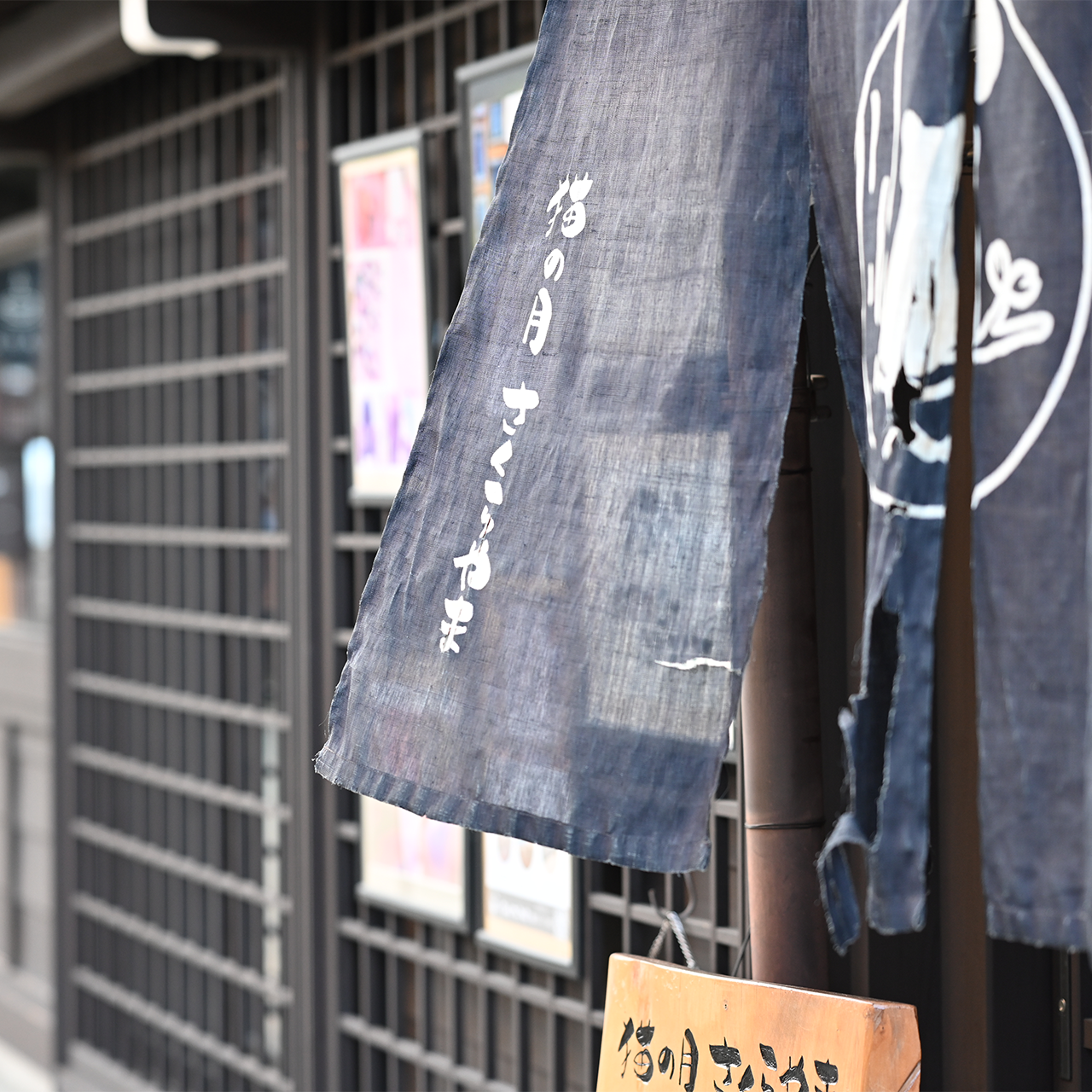 猫の月 さくらやま