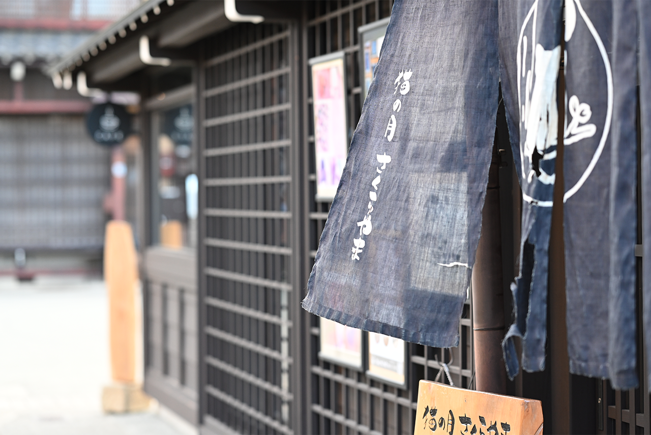 猫の月 さくらやま