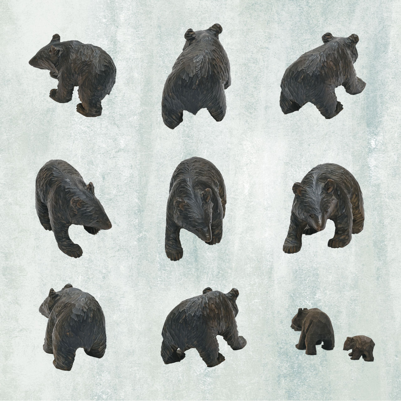 知っているようで知らない?クマのこと。