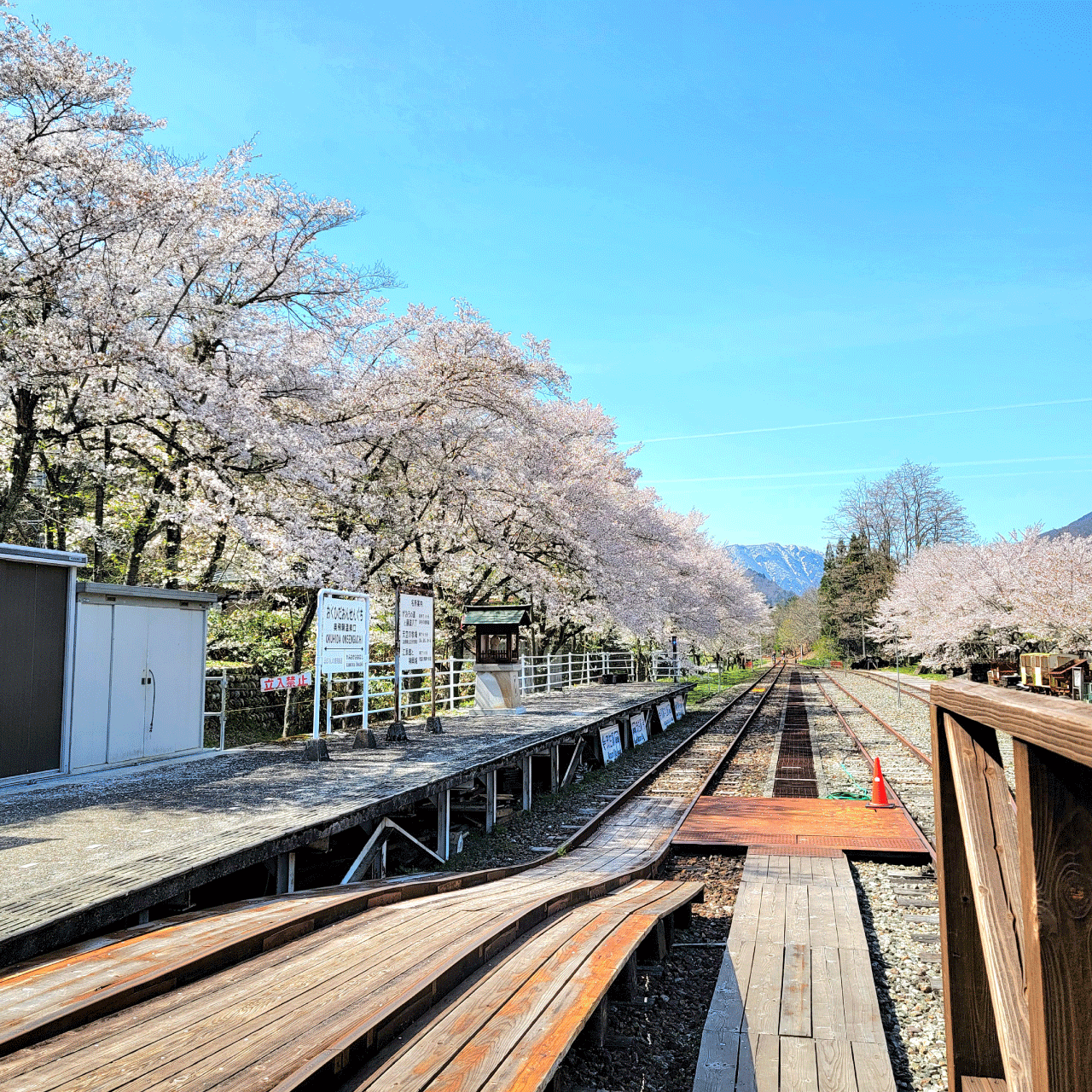 Rail-MTB Gattan GO!! レールマウンテンバイク ガッタンゴー